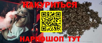 стафф Моздок