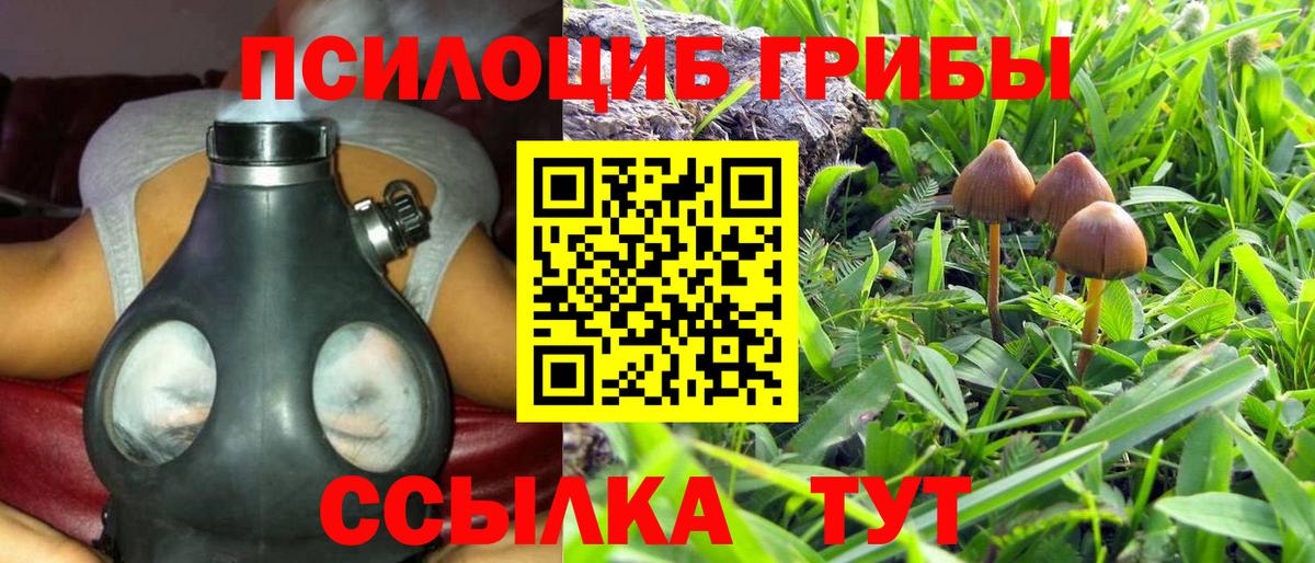 Юрга  Галлюциногенные грибы Magic Shrooms  Вход с VPN 