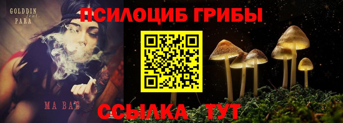 Псилоцибиновые грибы GOLDEN TEACHER Юрга
